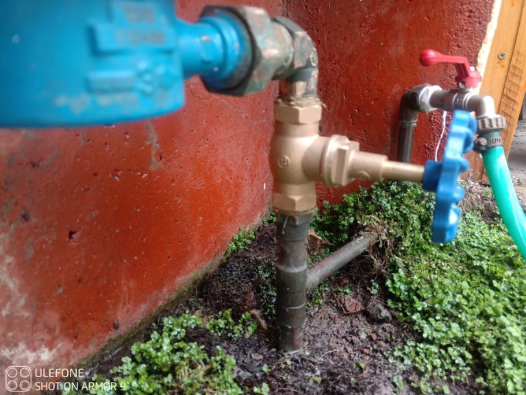 WhatsApp Image 2024-08-01 at 18.57.56